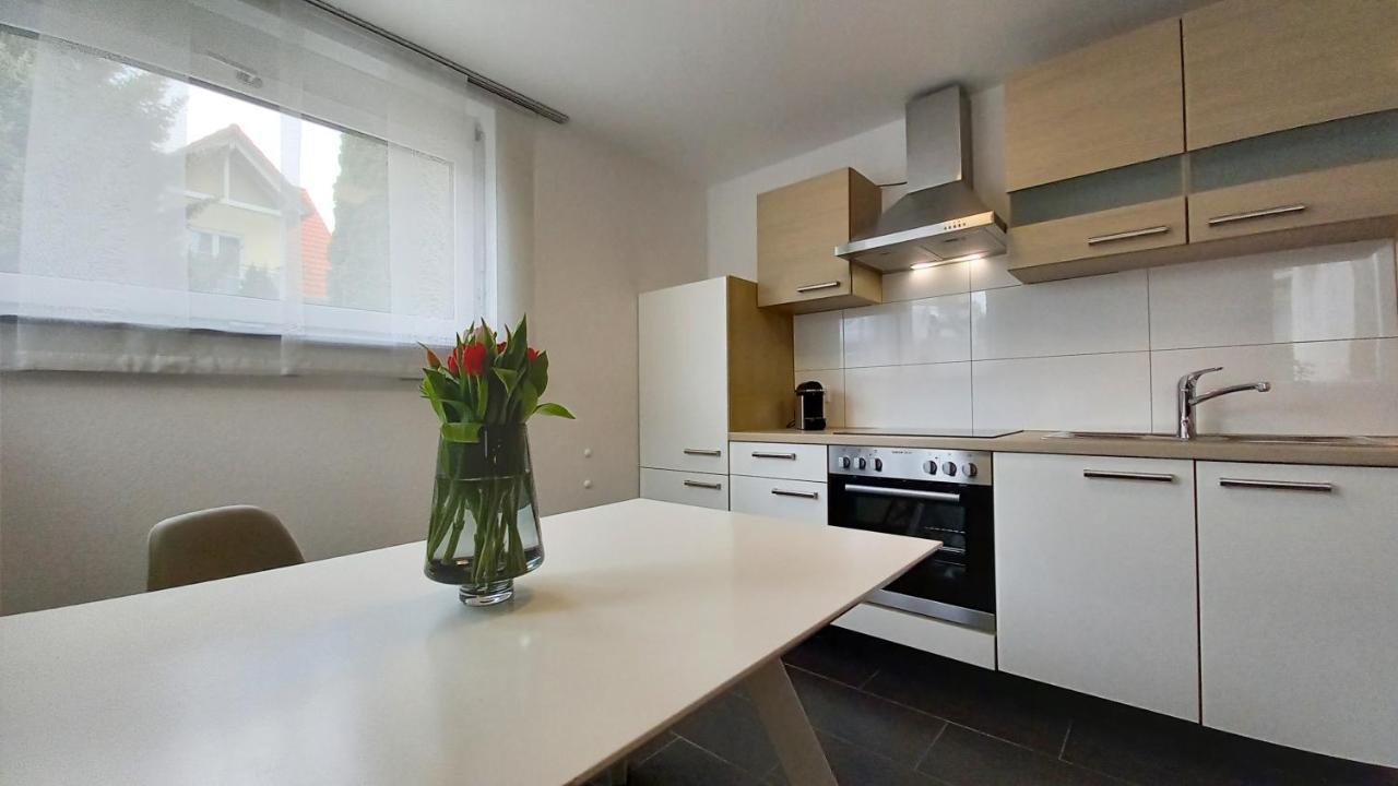 Am Seewald - Ferienwohnung Am Bodensee FDH Exteriér fotografie